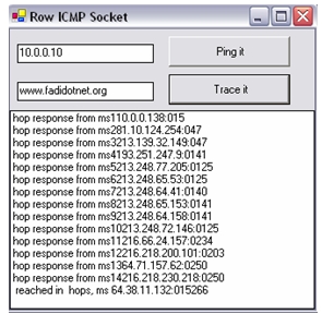 Raw Socket Programming